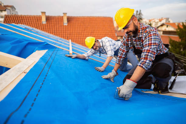Best Shingle Roofing Installation  in Ferndale, CA